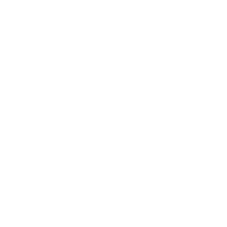 Logo BMW - Marca oficial representada por Auto Munich
