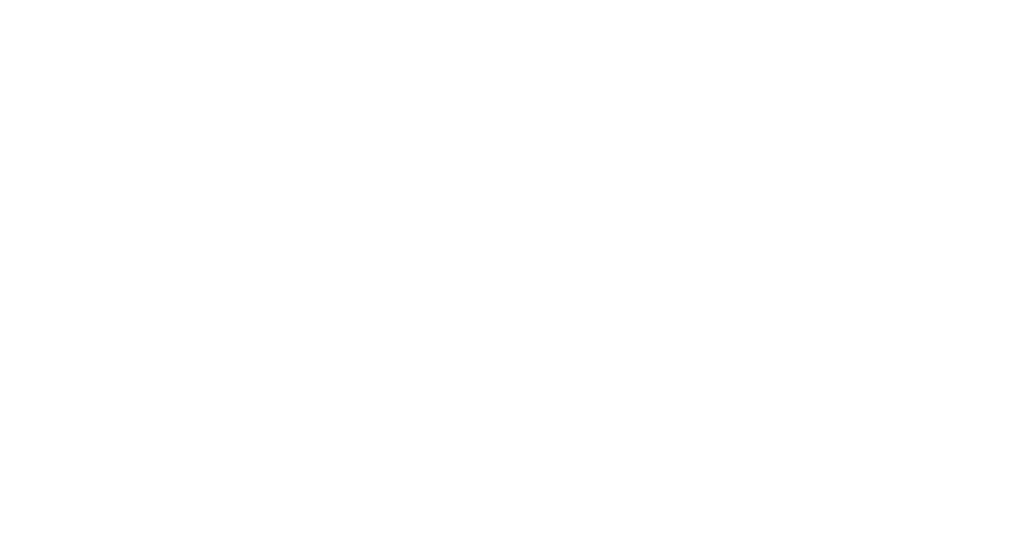 logo Centro