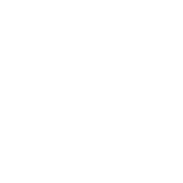 DS Automobiles