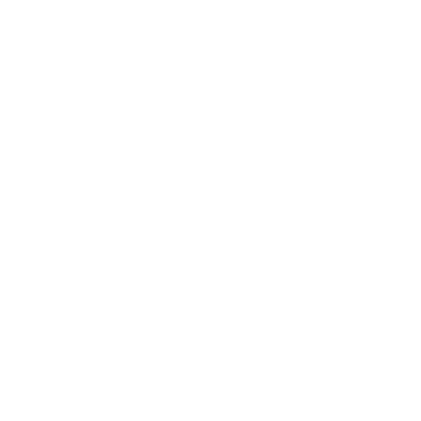 BMW Motorrad